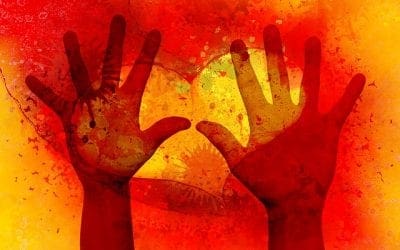 The Nonprofit – How Not To Lose Your 501(c)(3) tax-exempt status